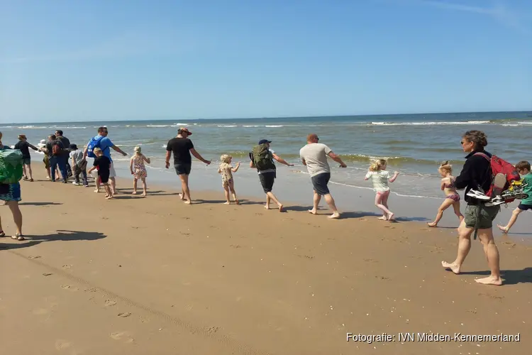 Korren op het strand van Wijk aan Zee - Ontdek wat er leeft in de Noordzee!