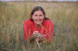 Wel of geen zin hebben