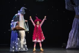 Familiemusical Dolfje Weerwolfje & Foeksia de Miniheks