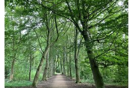 Zondag 19 Oktober organissert Oer-IJ de laatste wandeling van dit seizoen