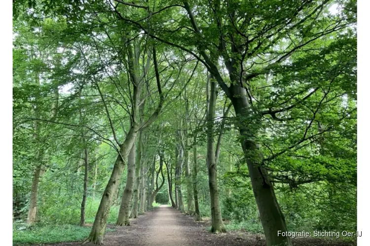 Zondag 19 Oktober organissert Oer-IJ de laatste wandeling van dit seizoen