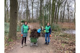 Zaterdag start oogst zaailingen in Park Scheybeeck