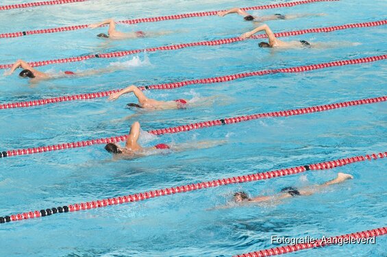 Het leukste en sportiefste zwemevenement voor de hele familie! De Winter Zwem4daagse!