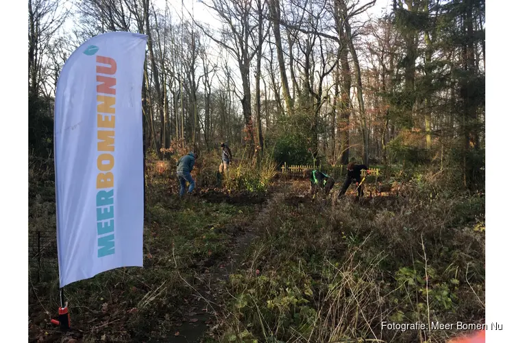 Gezond het nieuwe jaar in met Meer Bomen Nu