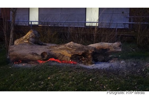 Boomstam geblust door brandweer