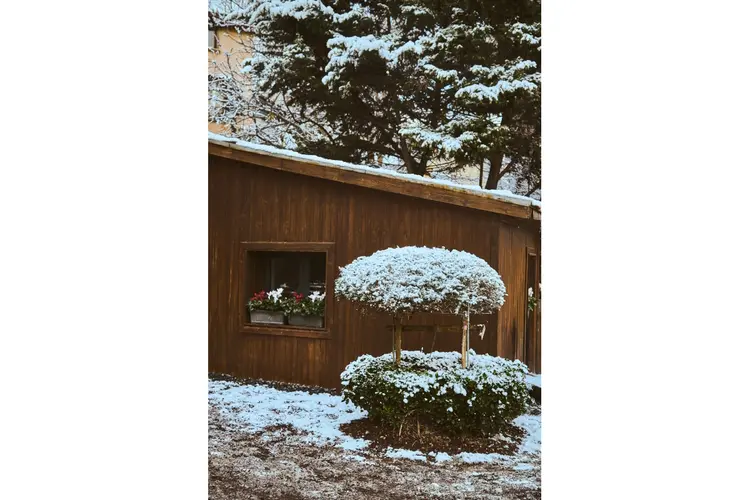 Je tuin in Beverwijk winterklaar maken: praktische tips voor de koude maanden