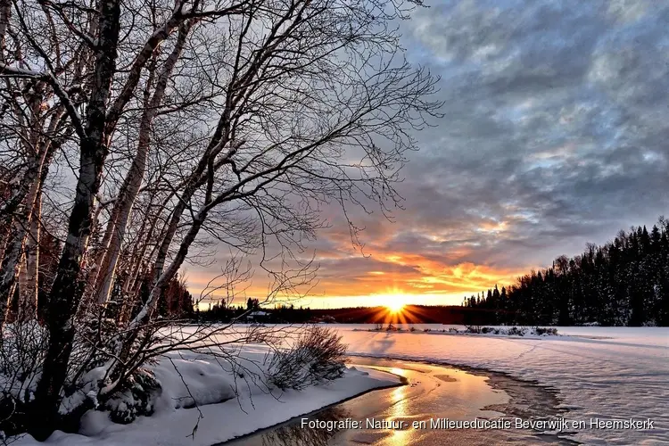 Wil jij van alles leren over het weer? Kom dan woensdag 4 februari a.s. naar Kinderboerderij Dierendorp