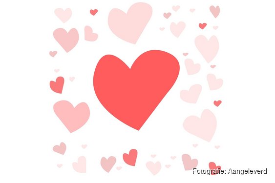 Bijzondere valentijnsactie Doornroosje De Musical