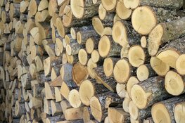 Houtvoorraad opslaan in Beverwijk om de winter warm en veilig door te komen