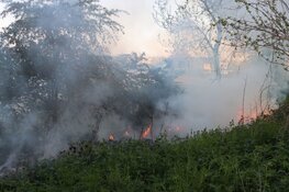 Natuurbrand bij begraafplaats in Beverwijk