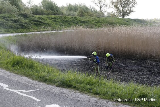 Fikse rietbrand in Beverwijk