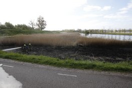 Fikse rietbrand in Beverwijk