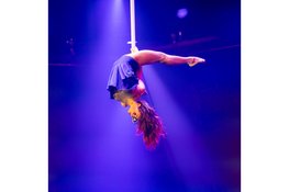 Circus Up, nieuw familieconcept komt naar de Bazaar in Beverwijk van zaterdag 27 juni tot en met 5 juli