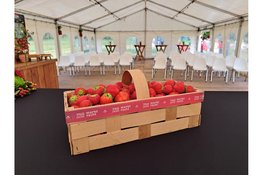 Eerste aardbeienslof van Beverwijk brengt 1.500 euro op voor Voedselbank IJmond-Noord