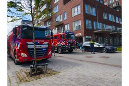 Cavia gered bij brand in Beverwijk