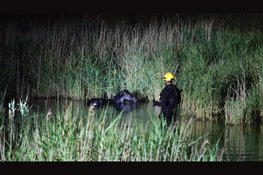 Brandweer uren bezig met paard in sloot