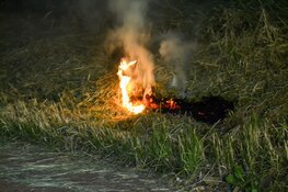Weer buitenbrandje in Beverwijk