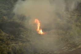 Weer buitenbrandje in Beverwijk