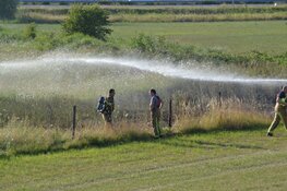 Brandweer blust brand in veld in Beverwijk