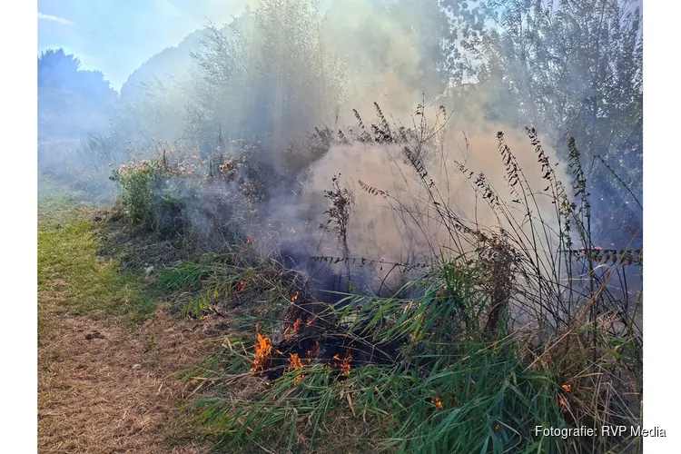 Rookwolken bij brand in stuk natuur Beverwijk