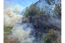 Rookwolken bij brand in stuk natuur Beverwijk