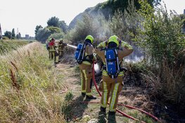 Rookwolken bij brand in stuk natuur Beverwijk