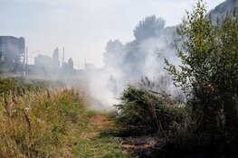 Rookwolken bij brand in stuk natuur Beverwijk