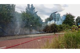 Rookontwikkeling bij brand in bosjes in Beverwijk