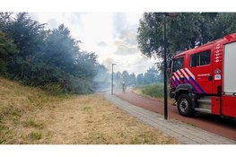 Rookontwikkeling bij brand in bosjes in Beverwijk