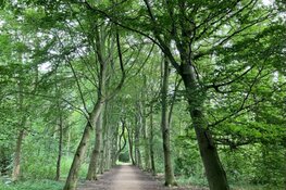 Stichting Oer-IJ organiseert een wandeling op zondag 20 september