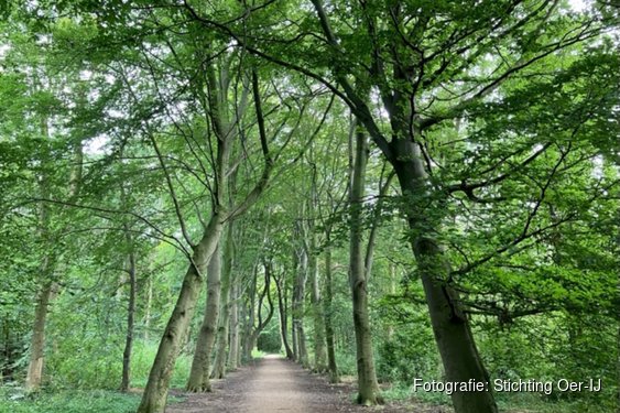 Stichting Oer-IJ organiseert een wandeling op zondag 20 september