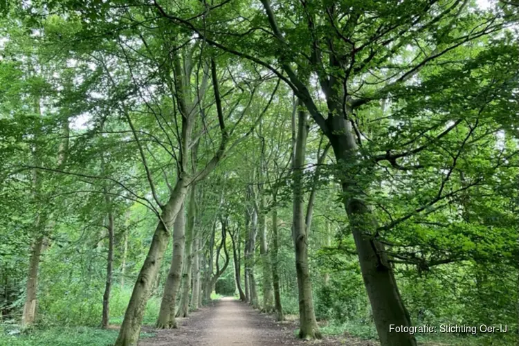 Stichting Oer-IJ organiseert een wandeling op zondag 20 september