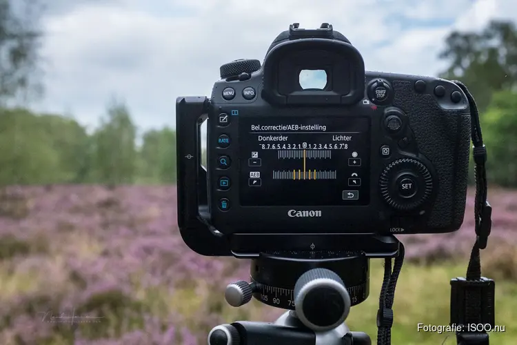 Licht vangen in de fotografie – leer kijken én fotograferen met licht