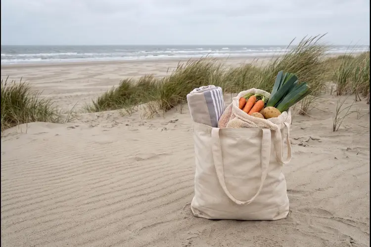 Een tas die het strand van Wijk aan Zee en de Bazaar aankan