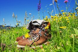30ste Winter-strand-duinwandeling van WSV "De Zwervers"