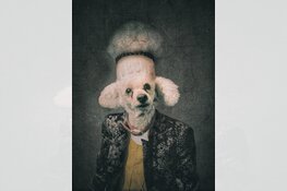 Lezing smartphonefotografie door Nico Brons