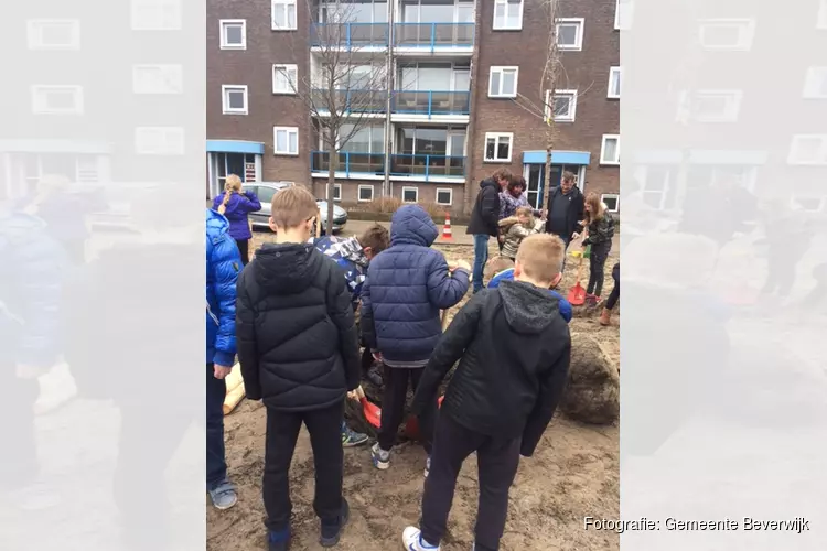 Nationale Boomfeestdag 2018