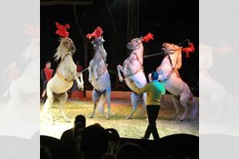 Circus Renz komt naar Beverwijk