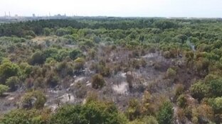 Grote duinbrand Heemskerk toch niet aangestoken