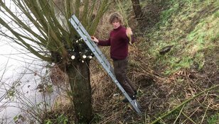 Wilgen knotten op fort Zuidwijkermeer