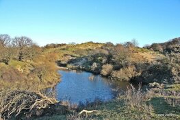 31ste  Winter-Strand-Duinwandeling van WSV "de Zwervers"