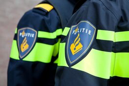 Automobilist onder invloed gaat gevecht aan met agenten